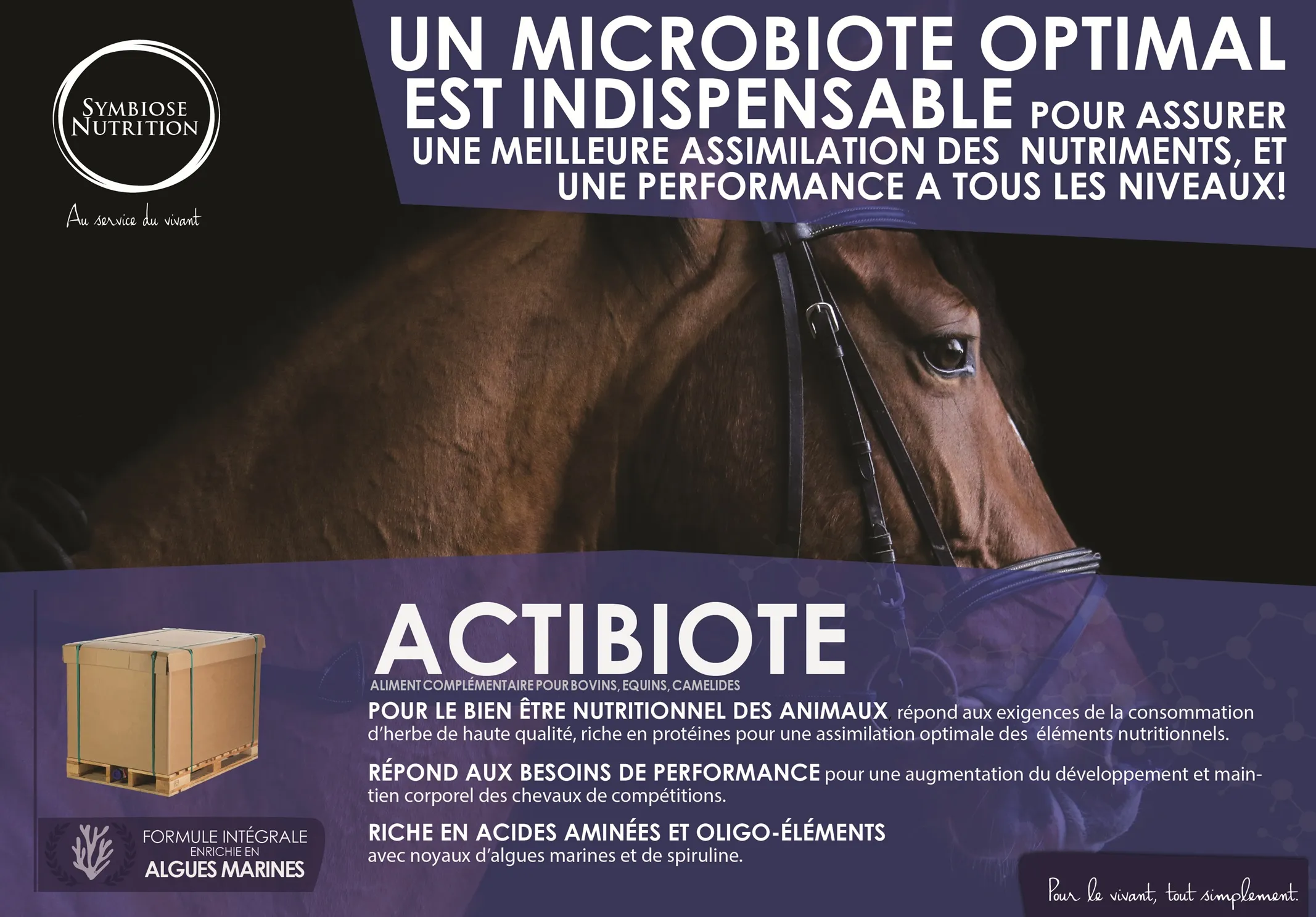 Affiche Actibiote, cheval
