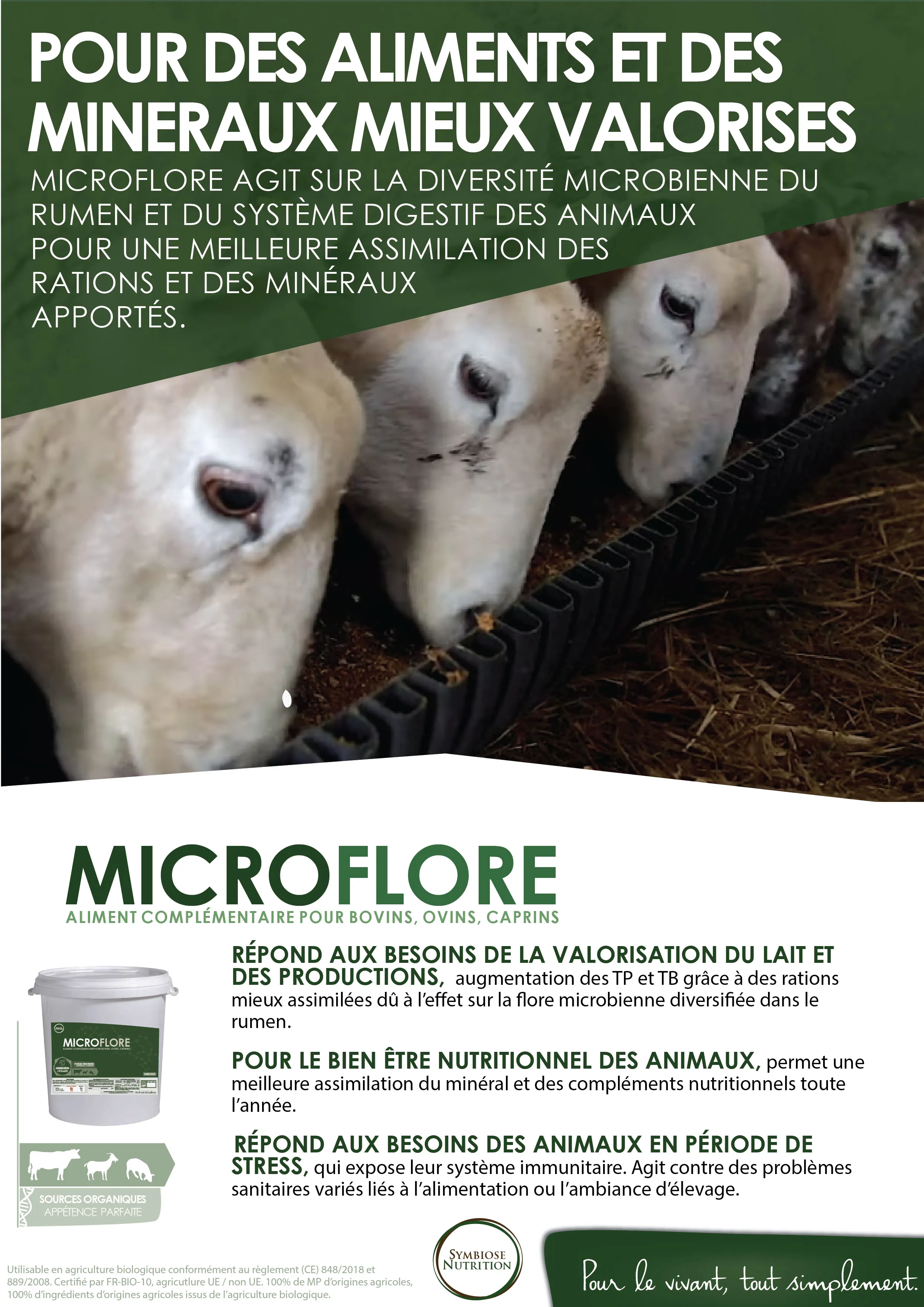Affiche Microflore, moutons
